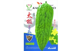 太極苦瓜