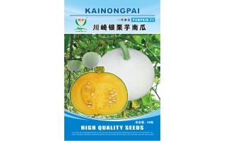 楷農川崎銀栗芋南瓜