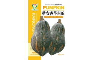 楷農香芋南瓜