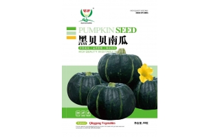 楷農黑貝貝南瓜