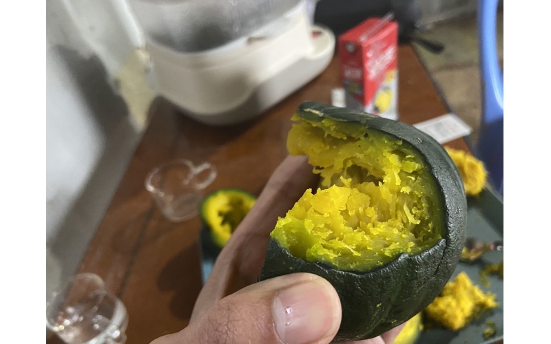 黑貝貝南瓜