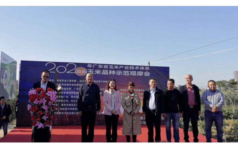 廣東省玉米品種示范觀摩會在潮州東鳳鎮舉行